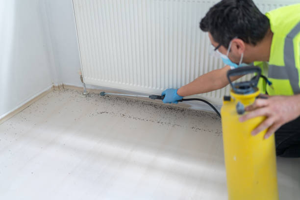 Best Affordable Pest Control Services  in Matoaca, VA