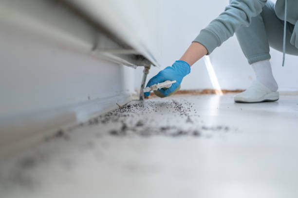 Best Best Pest Control Companies  in Matoaca, VA